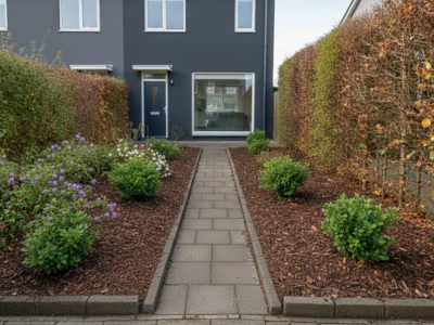 Clean garden after cleanup