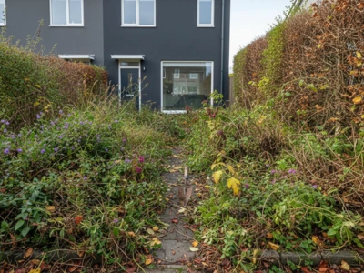 Messy garden before cleanup