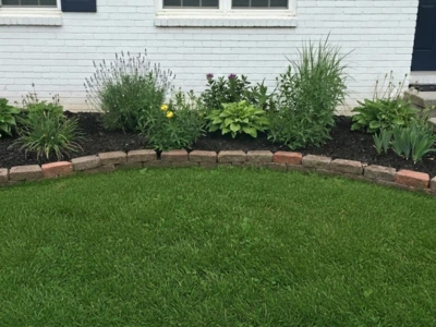 Weed-free area after treatment